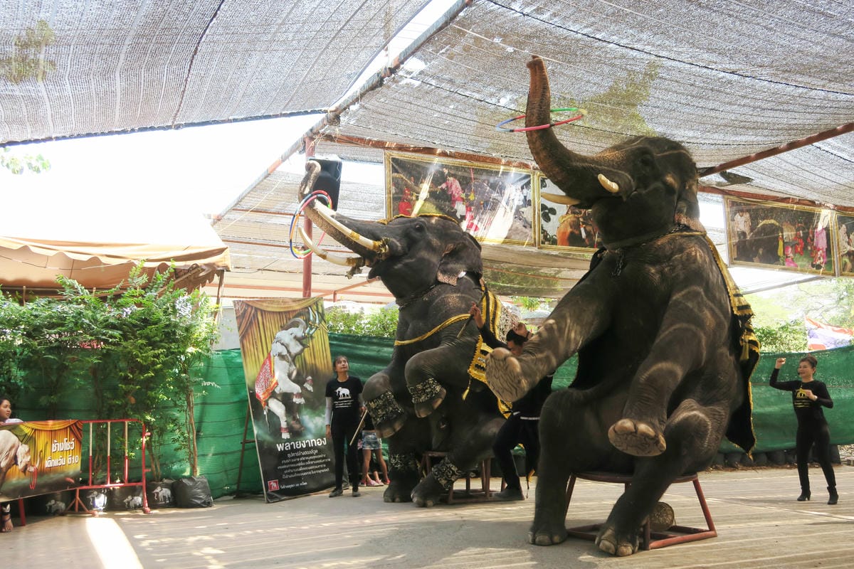 【泰國|大城】古都大城Ayutthaya一日遊行程安排!必知 【泰國|大城】古都大城Ayutthaya一日遊行程安排!必知