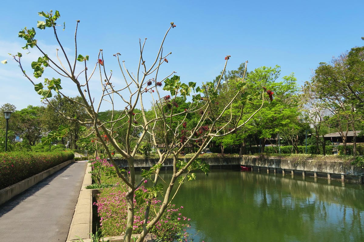 【泰國|曼谷】曼谷秘境!在市區中最美的公園 Benjakit 【泰國|曼谷】曼谷秘境!在市區中最美的公園 Benjakit