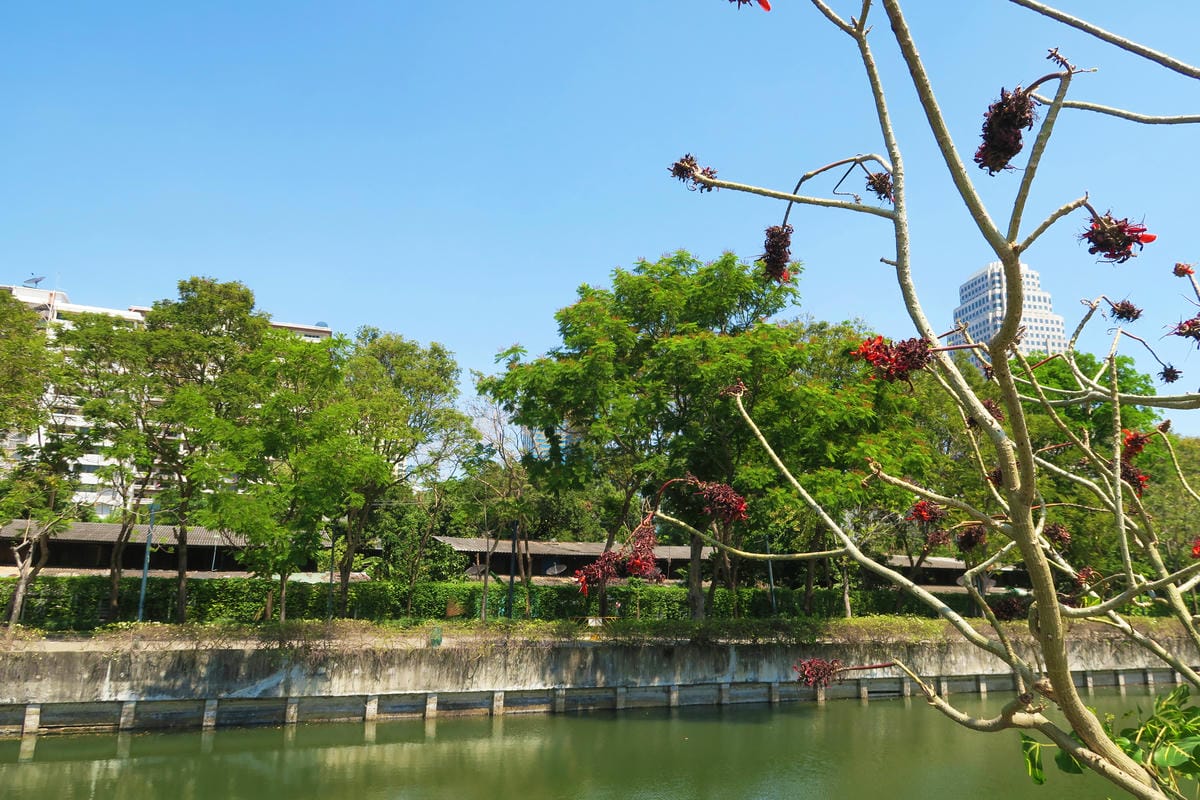 【泰國|曼谷】曼谷秘境!在市區中最美的公園 Benjakit 【泰國|曼谷】曼谷秘境!在市區中最美的公園 Benjakit