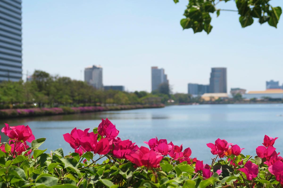 【泰國|曼谷】曼谷秘境!在市區中最美的公園 Benjakit 【泰國|曼谷】曼谷秘境!在市區中最美的公園 Benjakit