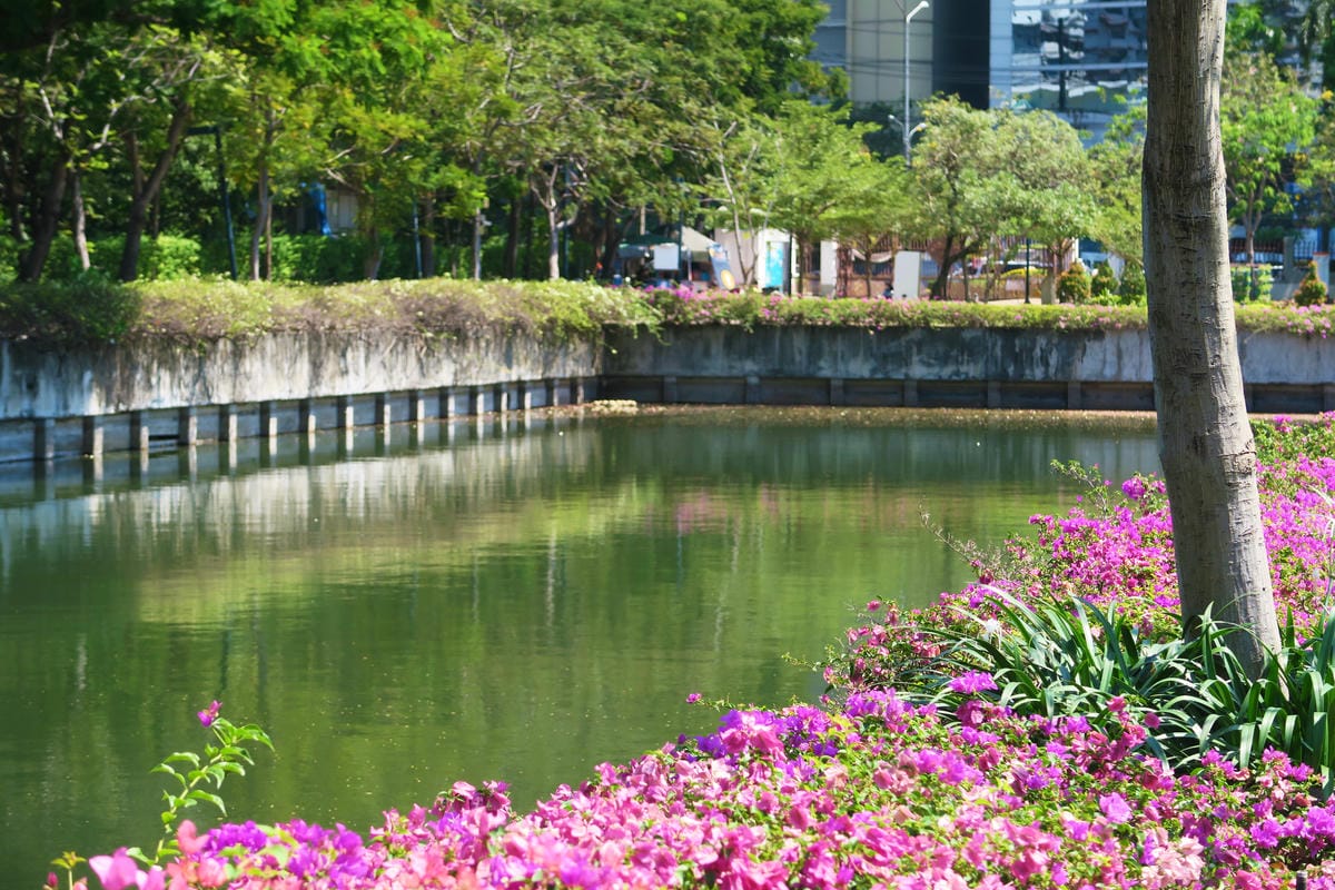【泰國|曼谷】曼谷秘境!在市區中最美的公園 Benjakit 【泰國|曼谷】曼谷秘境!在市區中最美的公園 Benjakit
