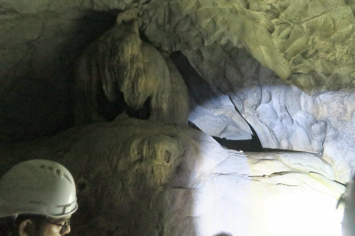 【馬來西亞|吉隆坡】黑洞Dark Cave 緊鄰印度教聖地黑 【馬來西亞|吉隆坡】黑洞Dark Cave 緊鄰印度教聖地黑