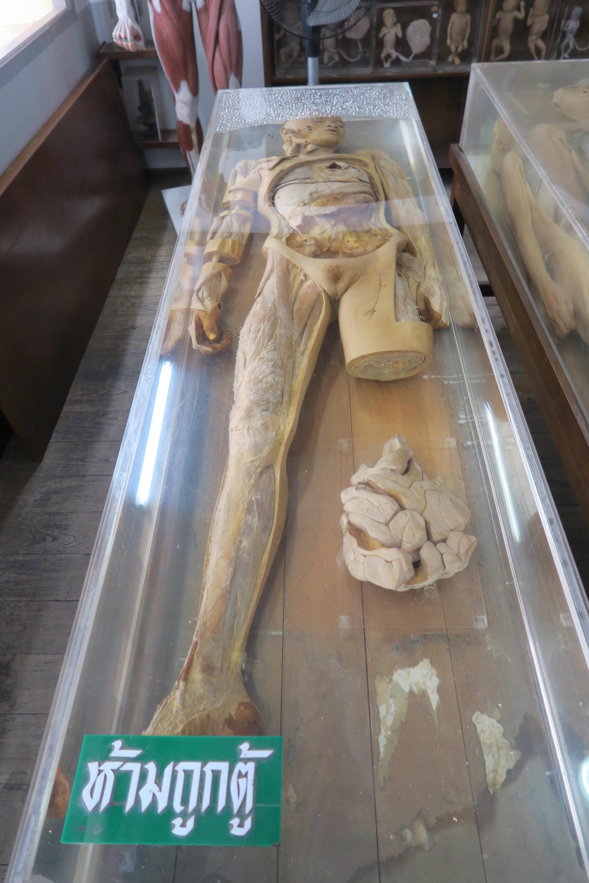 【泰國|曼谷】死亡博物館交通全攻略 參訪照片完全真實呈現 後 【泰國|曼谷】死亡博物館交通全攻略 參訪照片完全真實呈現 後
