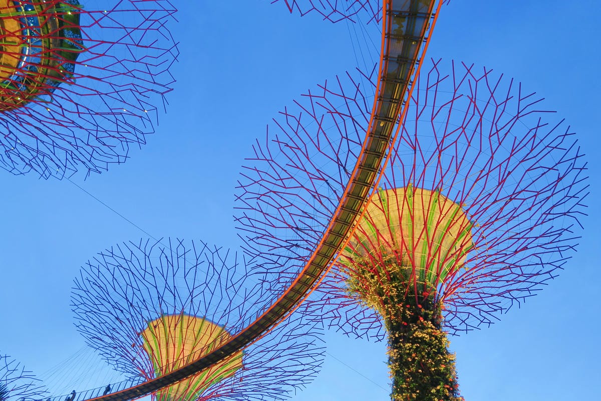 【新加坡自由行】濱海超級樹Supertree Grove五大 【新加坡自由行】濱海超級樹Supertree Grove五大