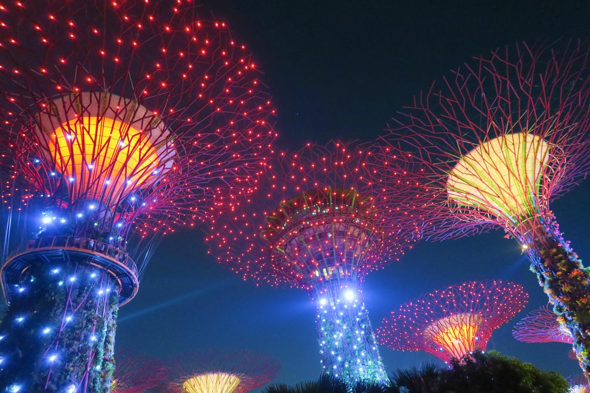 【新加坡自由行】濱海超級樹Supertree Grove五大 【新加坡自由行】濱海超級樹Supertree Grove五大