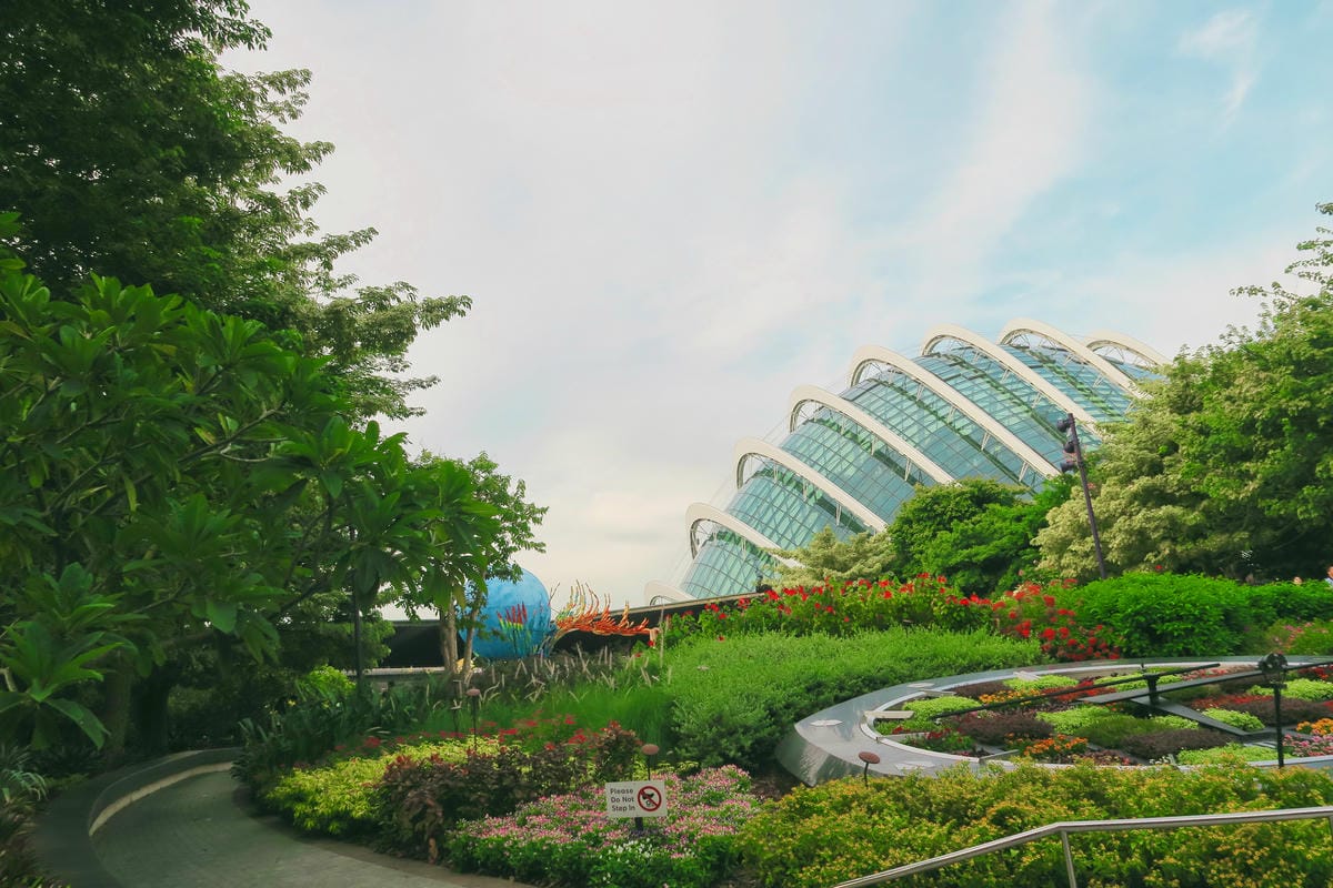 【新加坡自由行】濱海超級樹Supertree Grove五大 【新加坡自由行】濱海超級樹Supertree Grove五大