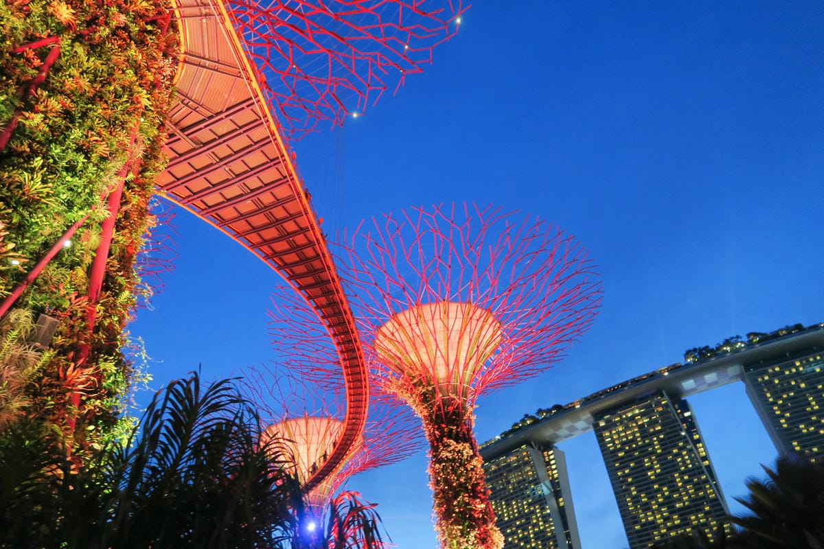 【新加坡自由行】濱海超級樹Supertree Grove五大 【新加坡自由行】濱海超級樹Supertree Grove五大