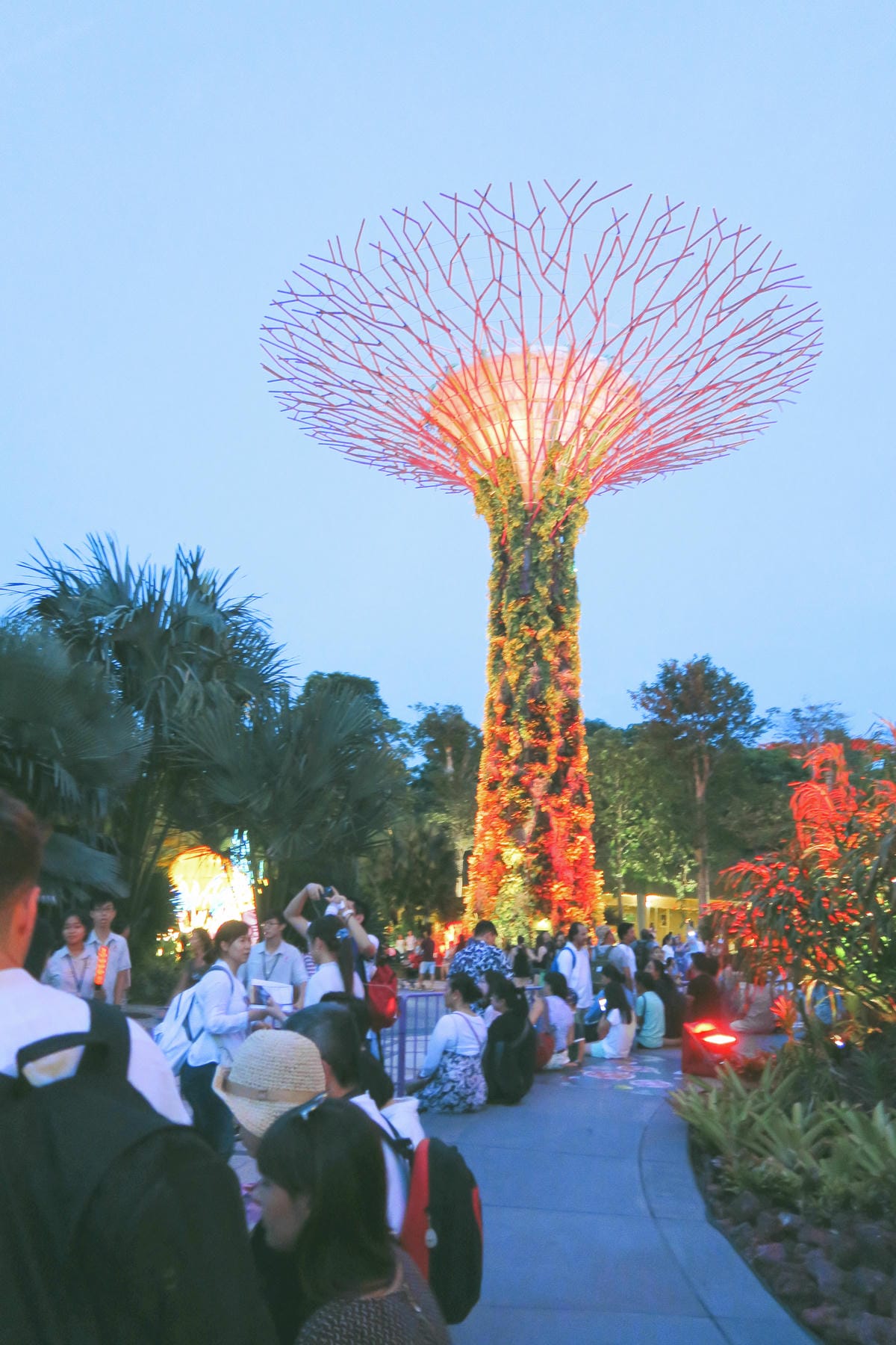 【新加坡自由行】濱海超級樹Supertree Grove五大 【新加坡自由行】濱海超級樹Supertree Grove五大