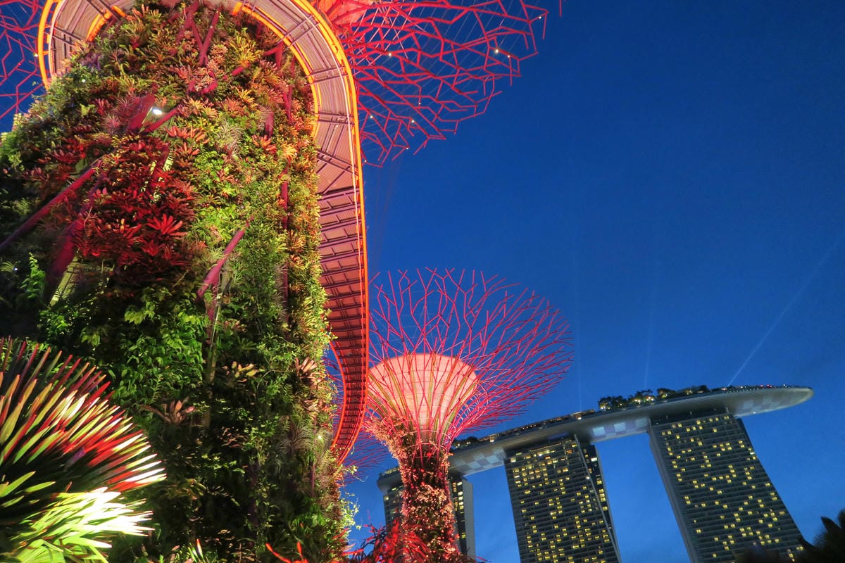 【新加坡自由行】濱海超級樹Supertree Grove五大 【新加坡自由行】濱海超級樹Supertree Grove五大