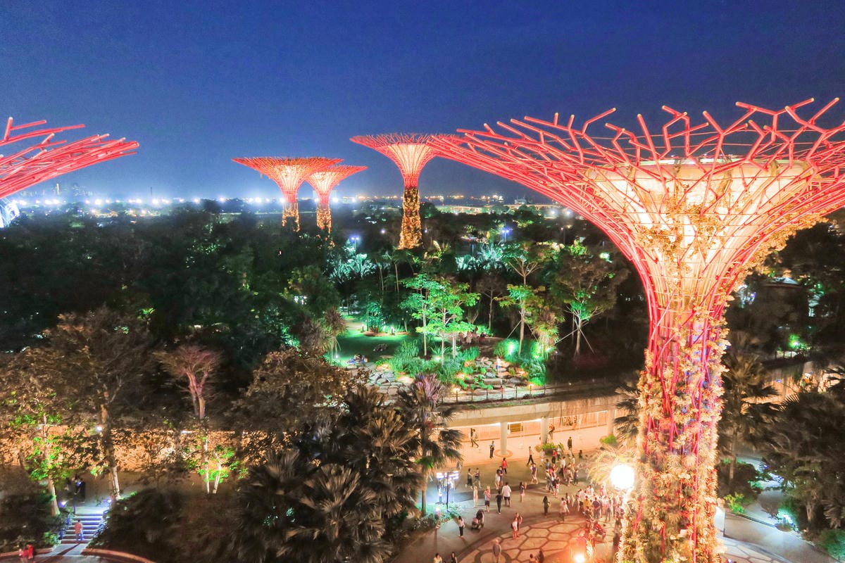 【新加坡自由行】濱海超級樹Supertree Grove五大 【新加坡自由行】濱海超級樹Supertree Grove五大