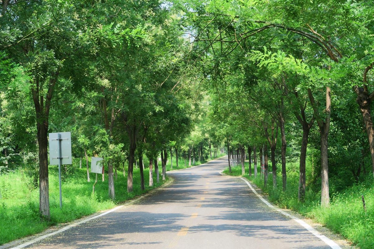 【北京自由行】深度旅遊 走遍明十三陵!神路+定陵+長陵+其他 【北京自由行】深度旅遊 走遍明十三陵!神路+定陵+長陵+其他