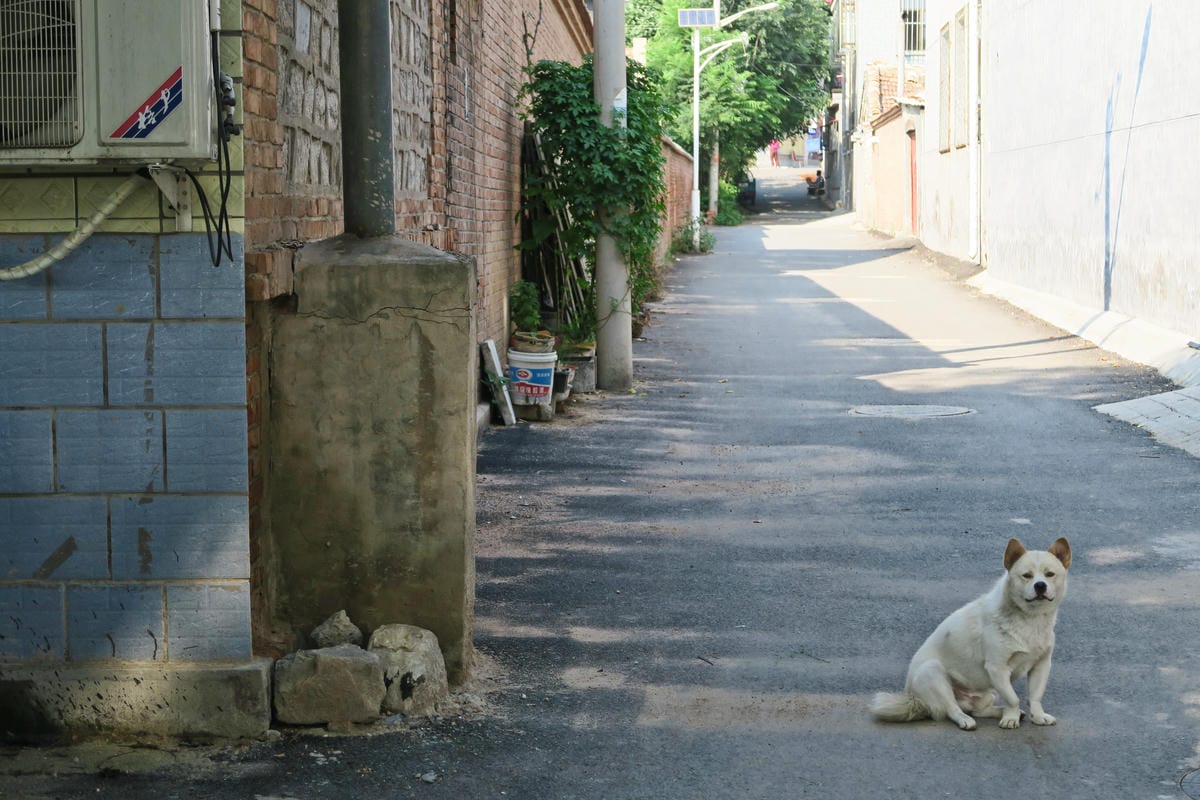 【北京自由行】深度旅遊 走遍明十三陵!神路+定陵+長陵+其他 【北京自由行】深度旅遊 走遍明十三陵!神路+定陵+長陵+其他