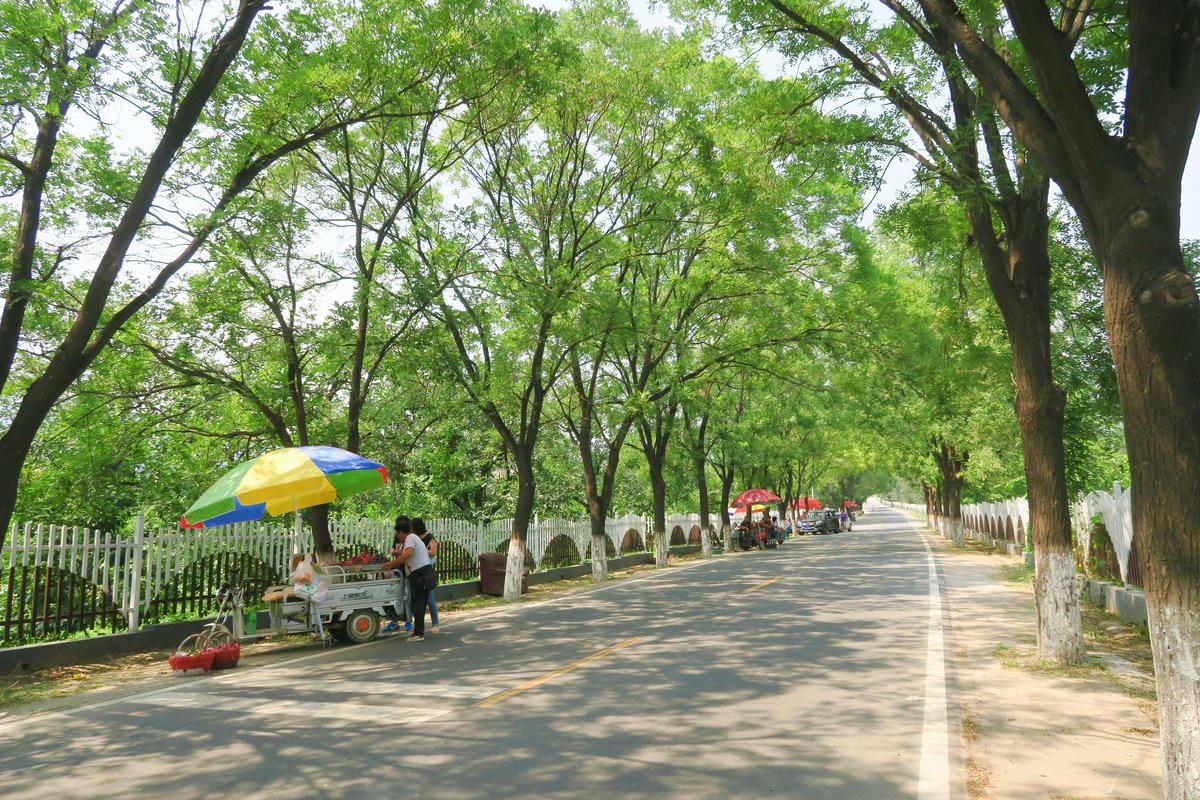 【北京自由行】深度旅遊 走遍明十三陵!神路+定陵+長陵+其他 【北京自由行】深度旅遊 走遍明十三陵!神路+定陵+長陵+其他