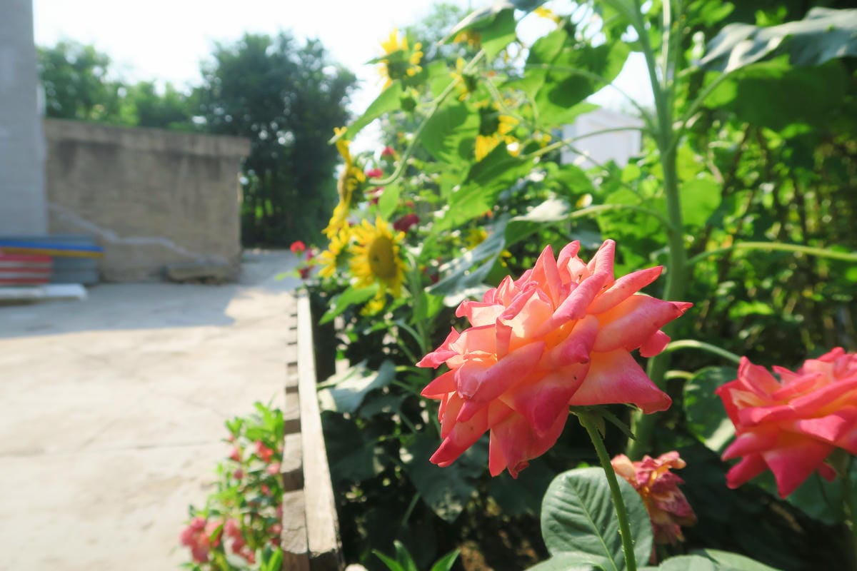 【北京自由行】深度旅遊 走遍明十三陵!神路+定陵+長陵+其他 【北京自由行】深度旅遊 走遍明十三陵!神路+定陵+長陵+其他