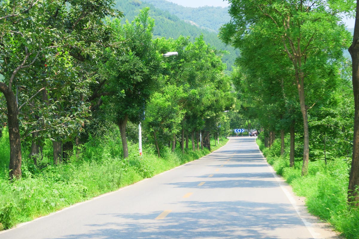 【北京自由行】深度旅遊 走遍明十三陵!神路+定陵+長陵+其他 【北京自由行】深度旅遊 走遍明十三陵!神路+定陵+長陵+其他