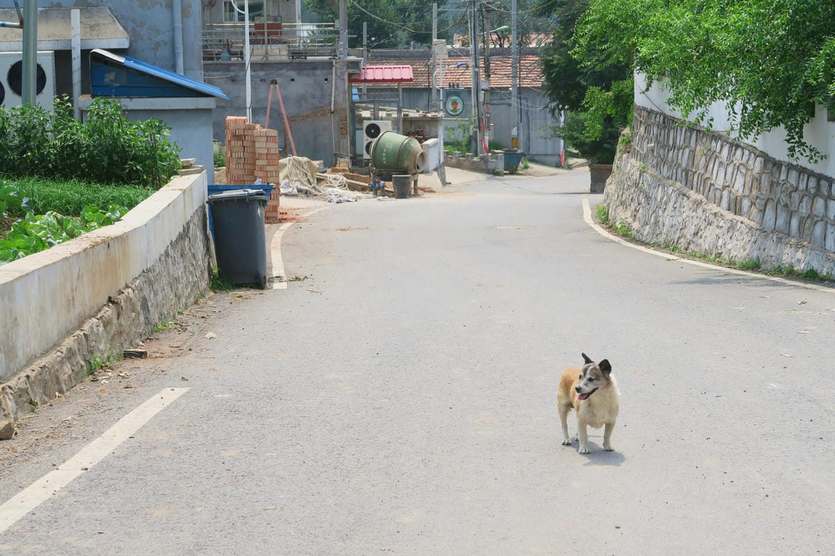 【北京自由行】深度旅遊 走遍明十三陵!神路+定陵+長陵+其他 【北京自由行】深度旅遊 走遍明十三陵!神路+定陵+長陵+其他