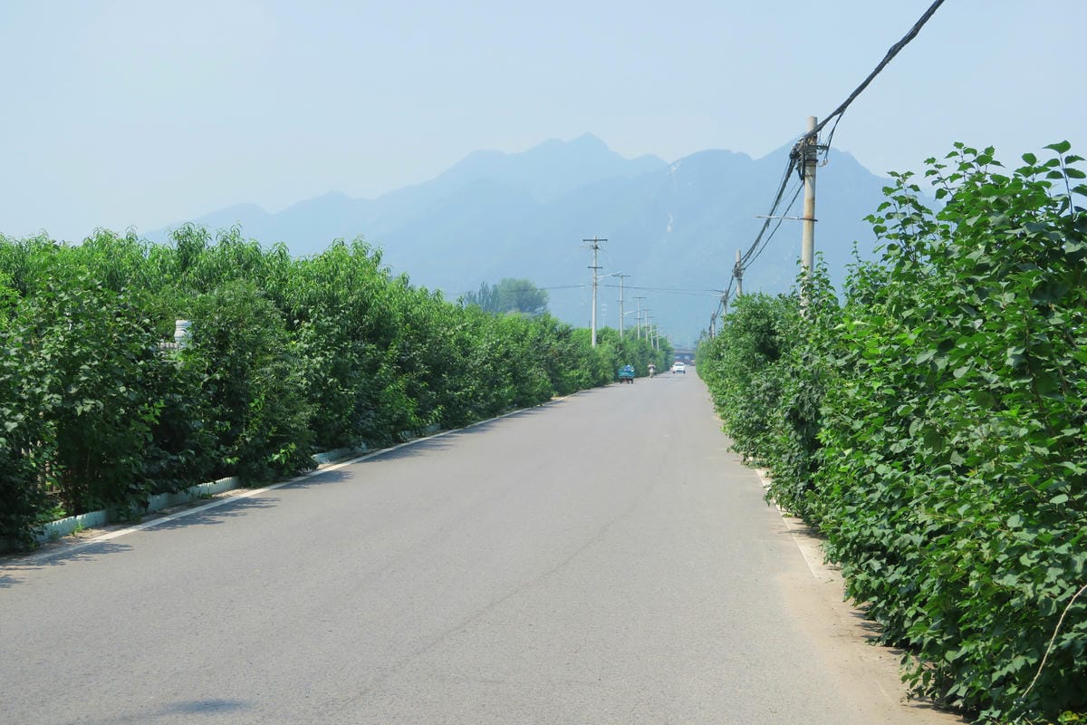 【北京自由行】深度旅遊 走遍明十三陵!神路+定陵+長陵+其他 【北京自由行】深度旅遊 走遍明十三陵!神路+定陵+長陵+其他