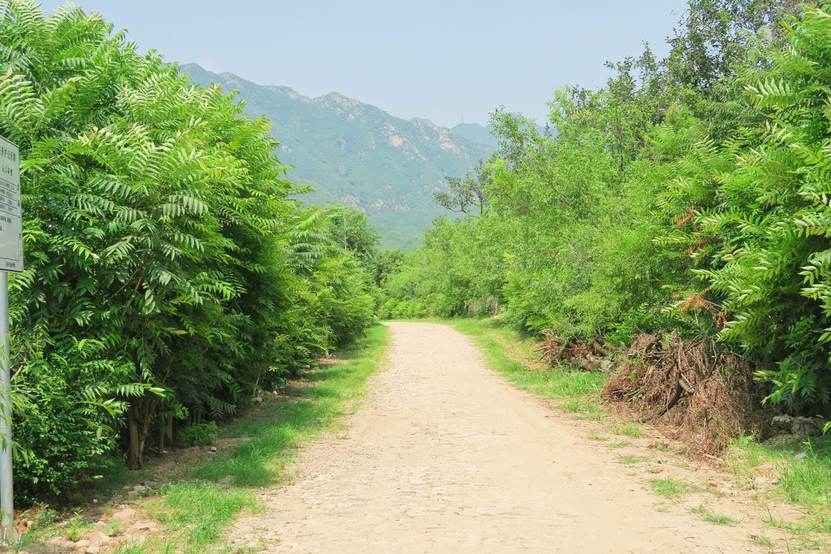 【北京自由行】深度旅遊 走遍明十三陵!神路+定陵+長陵+其他 【北京自由行】深度旅遊 走遍明十三陵!神路+定陵+長陵+其他