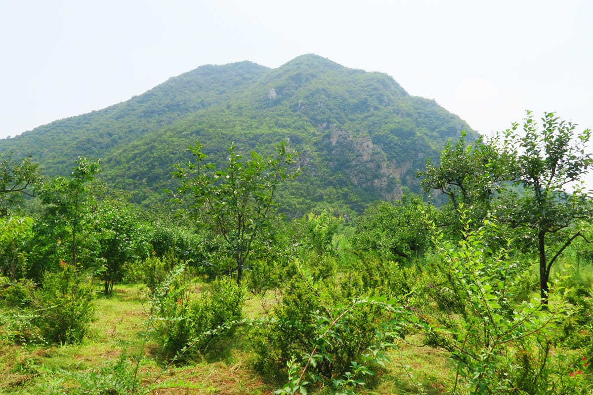 【北京自由行】深度旅遊 走遍明十三陵!神路+定陵+長陵+其他 【北京自由行】深度旅遊 走遍明十三陵!神路+定陵+長陵+其他