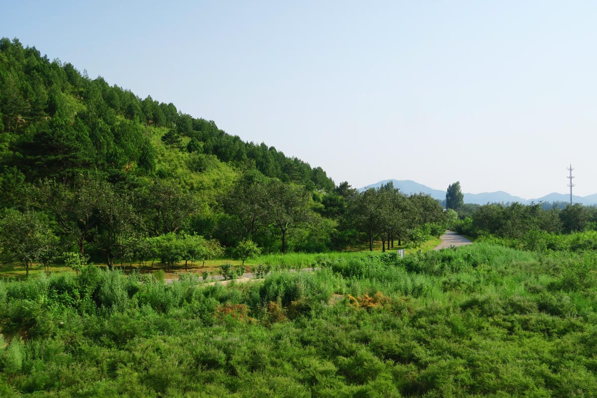 【北京自由行】深度旅遊 走遍明十三陵!神路+定陵+長陵+其他 【北京自由行】深度旅遊 走遍明十三陵!神路+定陵+長陵+其他