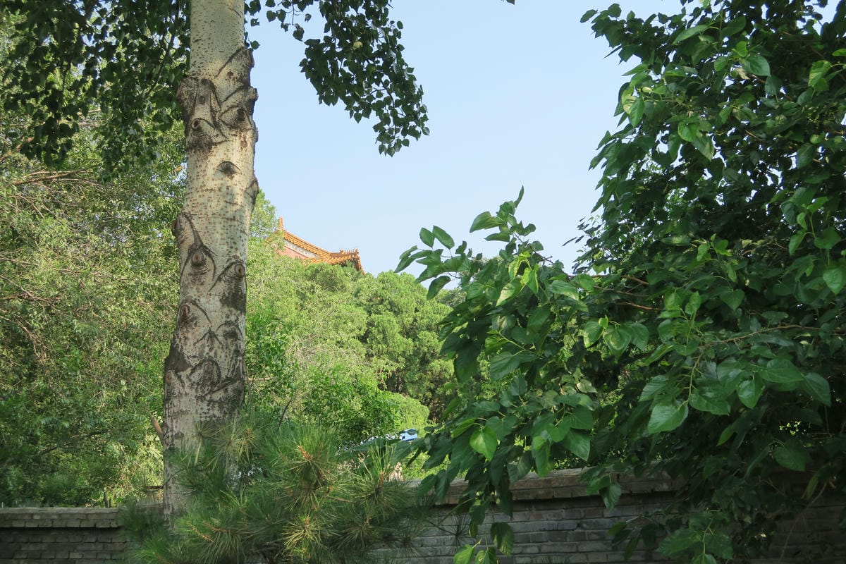 【北京自由行】深度旅遊 走遍明十三陵!神路+定陵+長陵+其他 【北京自由行】深度旅遊 走遍明十三陵!神路+定陵+長陵+其他