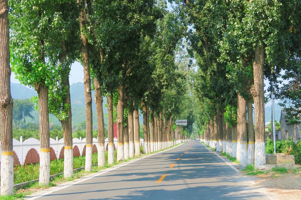 【北京自由行】深度旅遊 走遍明十三陵!神路+定陵+長陵+其他 【北京自由行】深度旅遊 走遍明十三陵!神路+定陵+長陵+其他