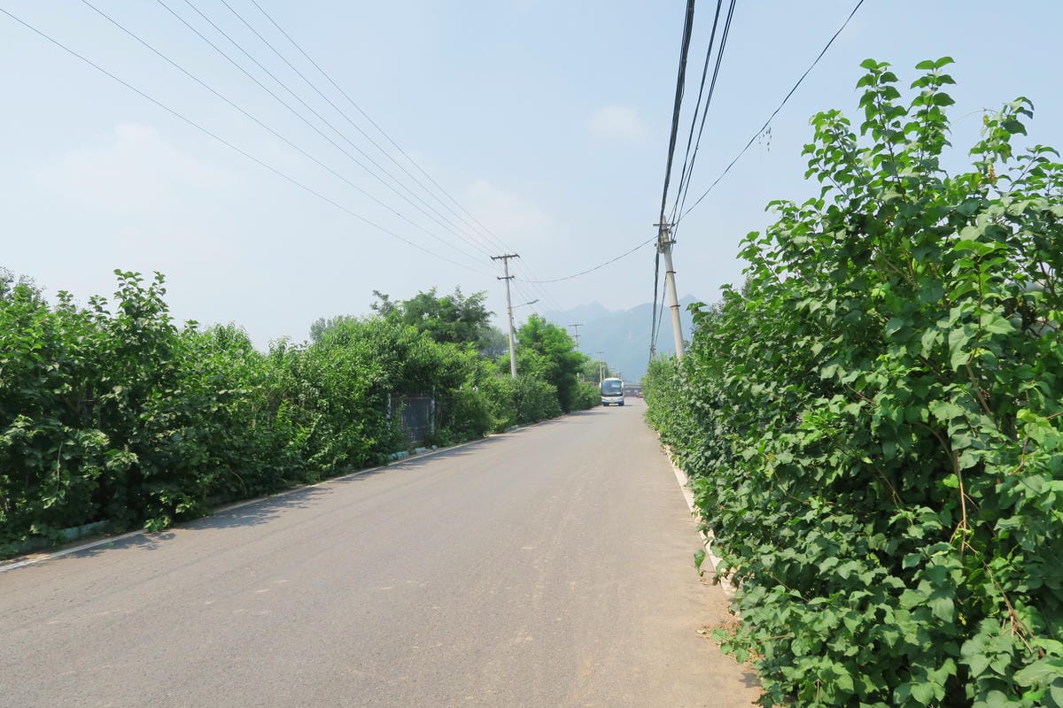 【北京自由行】深度旅遊 走遍明十三陵!神路+定陵+長陵+其他 【北京自由行】深度旅遊 走遍明十三陵!神路+定陵+長陵+其他