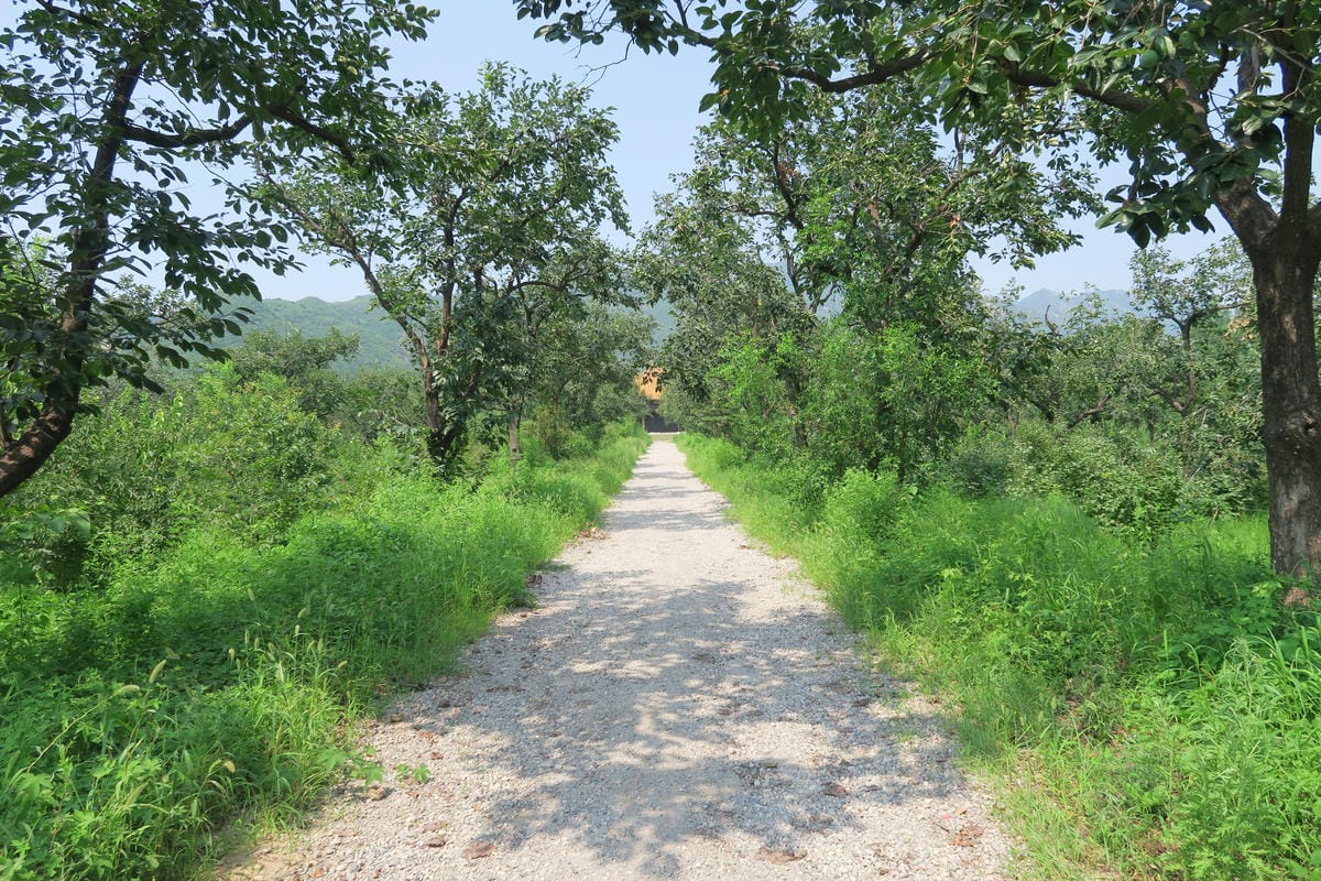 【北京自由行】深度旅遊 走遍明十三陵!神路+定陵+長陵+其他 【北京自由行】深度旅遊 走遍明十三陵!神路+定陵+長陵+其他