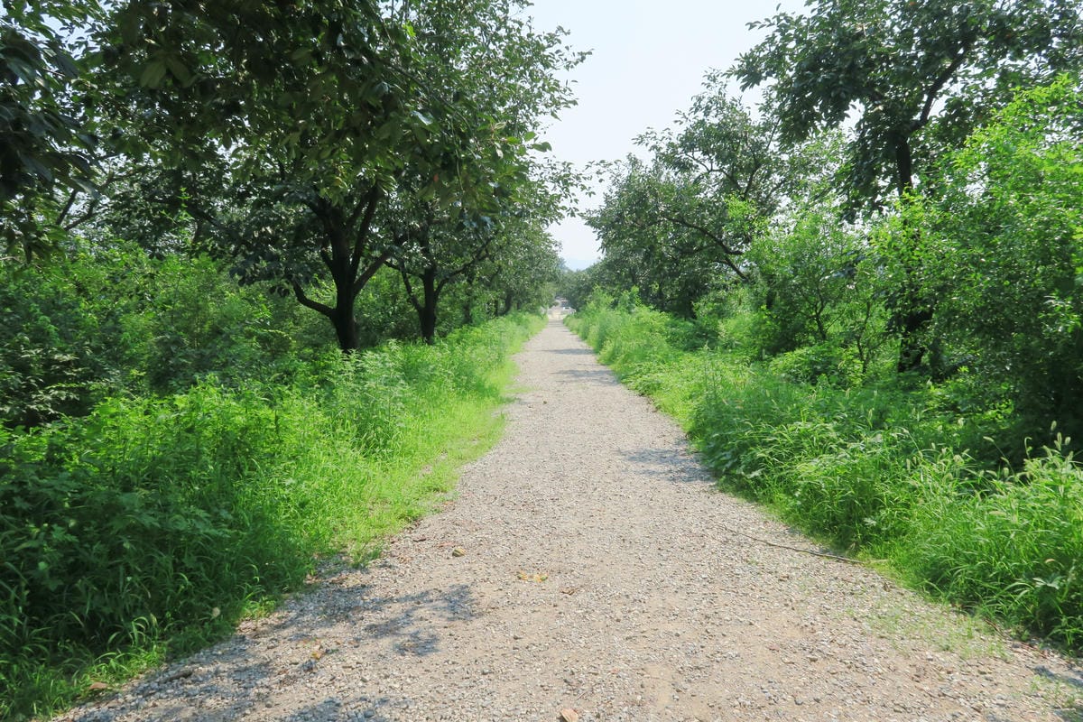 【北京自由行】深度旅遊 走遍明十三陵!神路+定陵+長陵+其他 【北京自由行】深度旅遊 走遍明十三陵!神路+定陵+長陵+其他