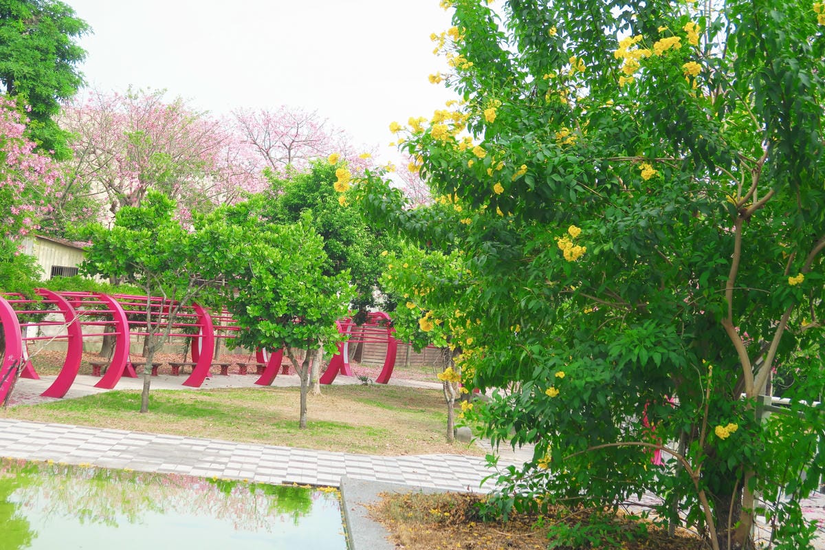 【台灣|彰化】夏秋之交限定!不用到日本也能感受粉紅世界 北斗 【台灣|彰化】夏秋之交限定!不用到日本也能感受粉紅世界 北斗