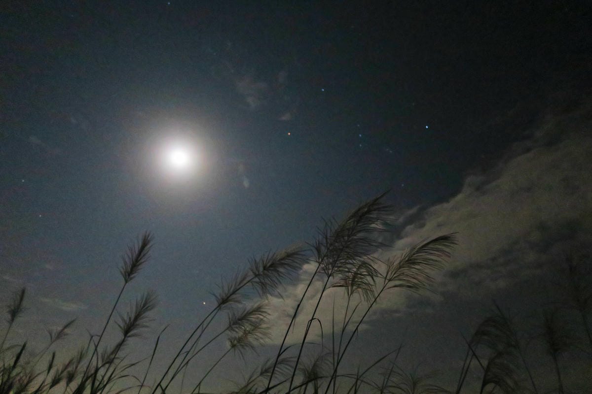 【約會小技巧-看流星雨篇】20個新竹 台中 台南最適合看流星 【約會小技巧-看流星雨篇】20個新竹 台中 台南最適合看流星