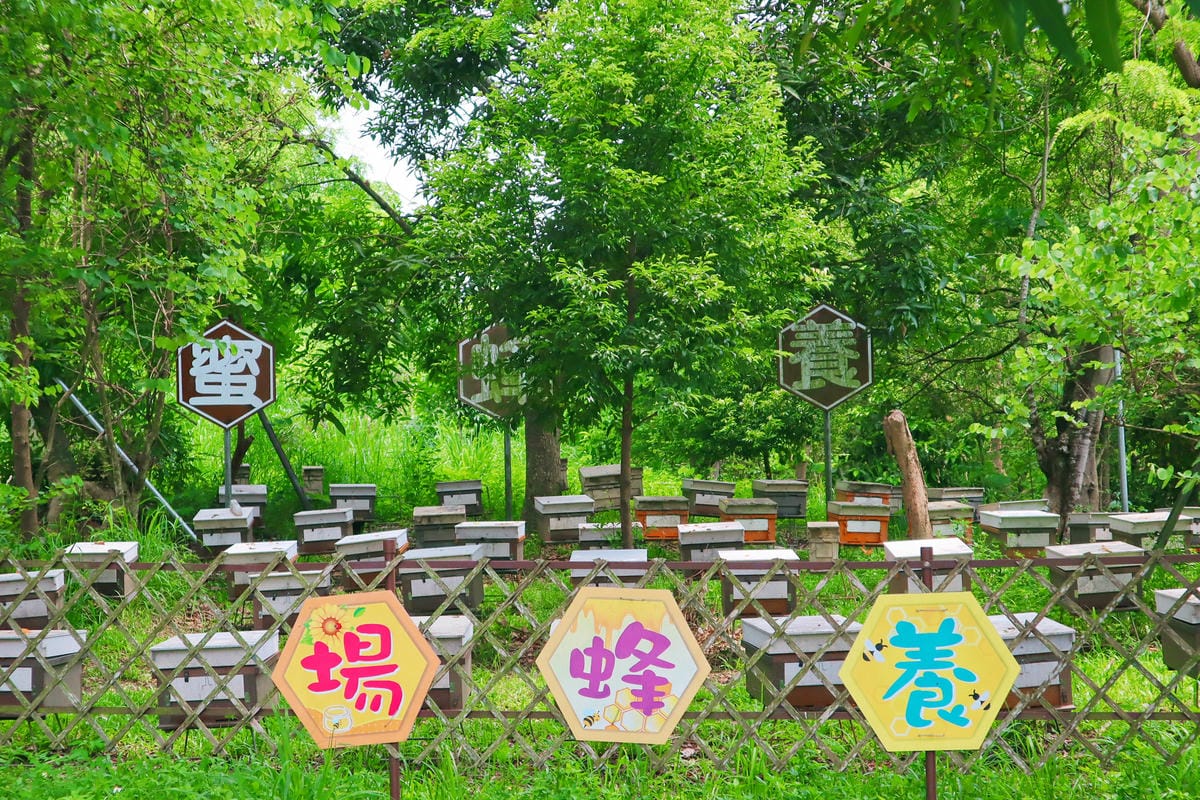 【台南|大內】親子共遊好選擇 - 走馬瀨農場!含周邊五大景點 【台南|大內】親子共遊好選擇 - 走馬瀨農場!含周邊五大景點