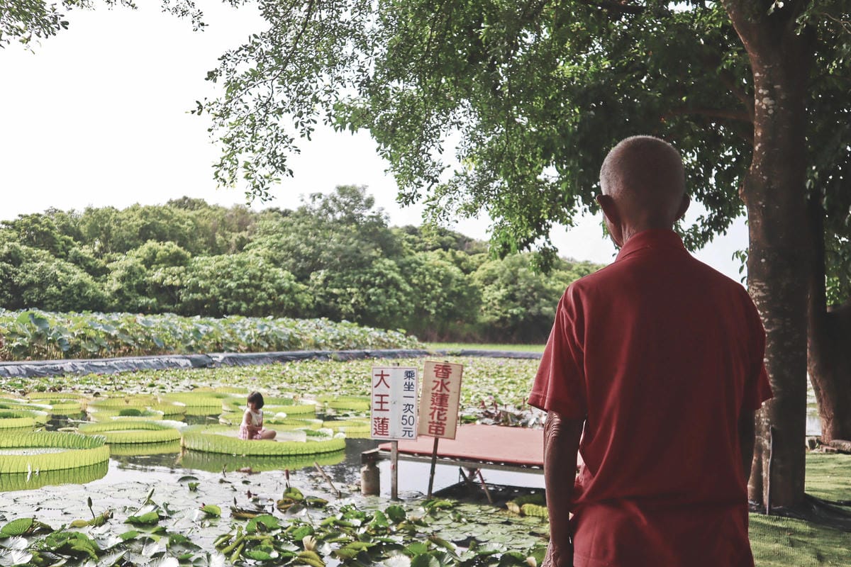 【台南|白河】三天兩夜旅行懶人包!關仔嶺泥漿溫泉體驗 + 白 【台南|白河】三天兩夜旅行懶人包!關仔嶺泥漿溫泉體驗 + 白