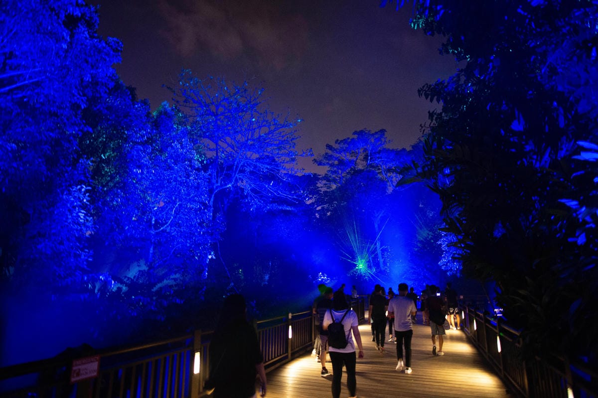 【新加坡自由行】亞洲第一座夢幻絕美「幻光雨林」之夜 Rain