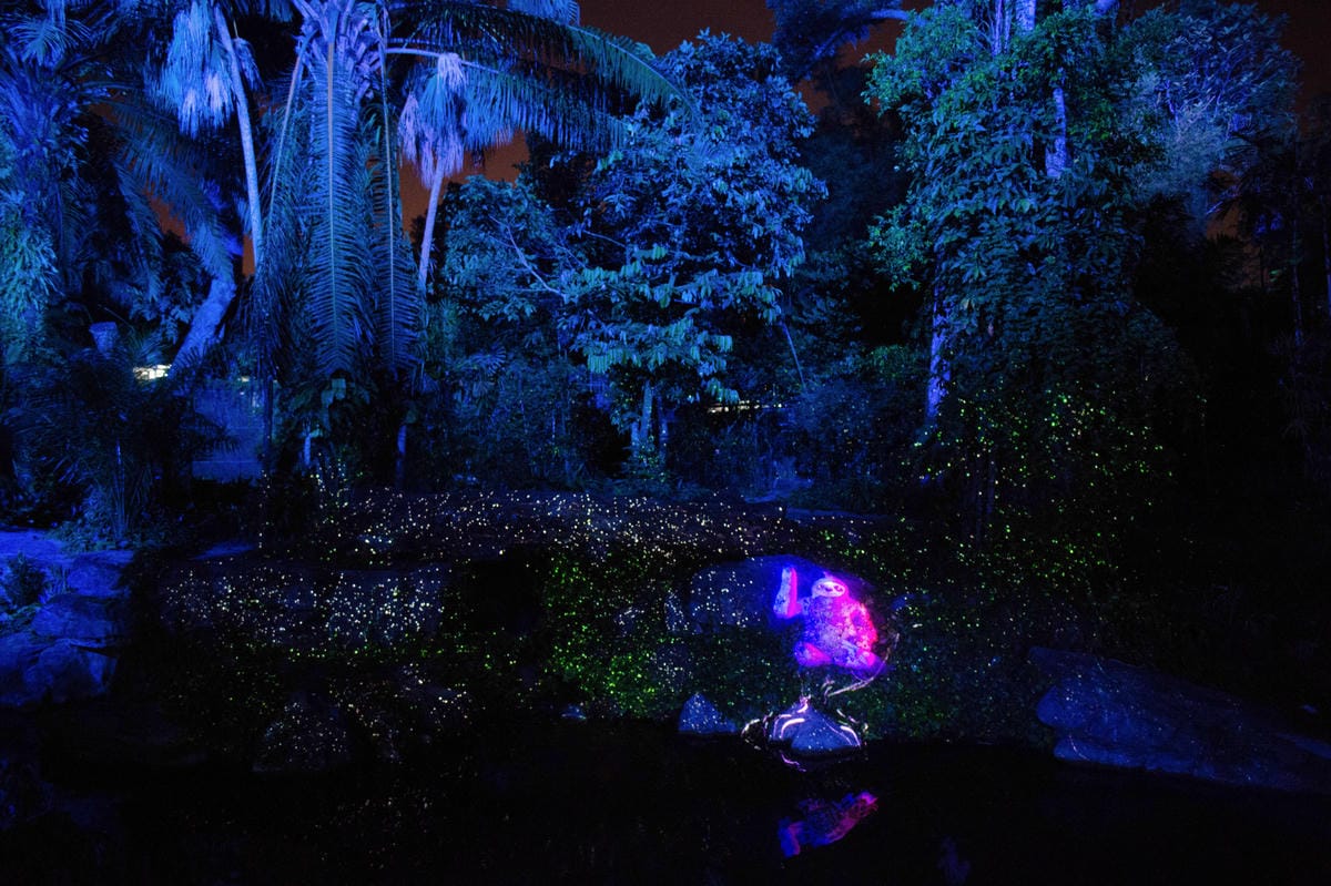 【新加坡自由行】亞洲第一座夢幻絕美「幻光雨林」之夜 Rain