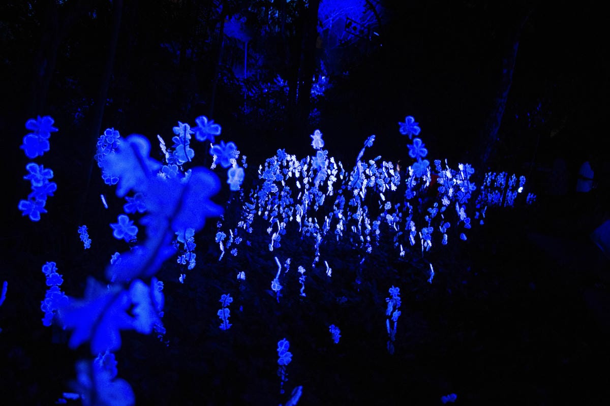 【新加坡自由行】亞洲第一座夢幻絕美「幻光雨林」之夜 Rain