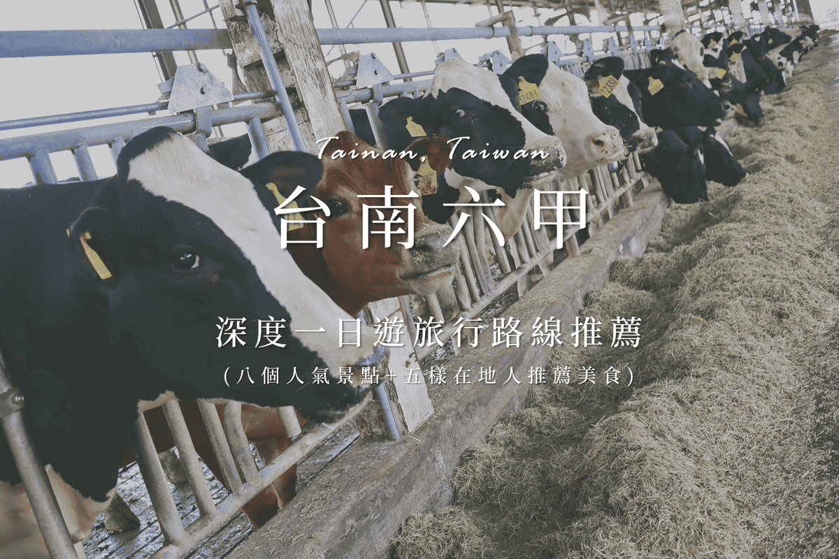 台南六甲.png 台南六甲.png