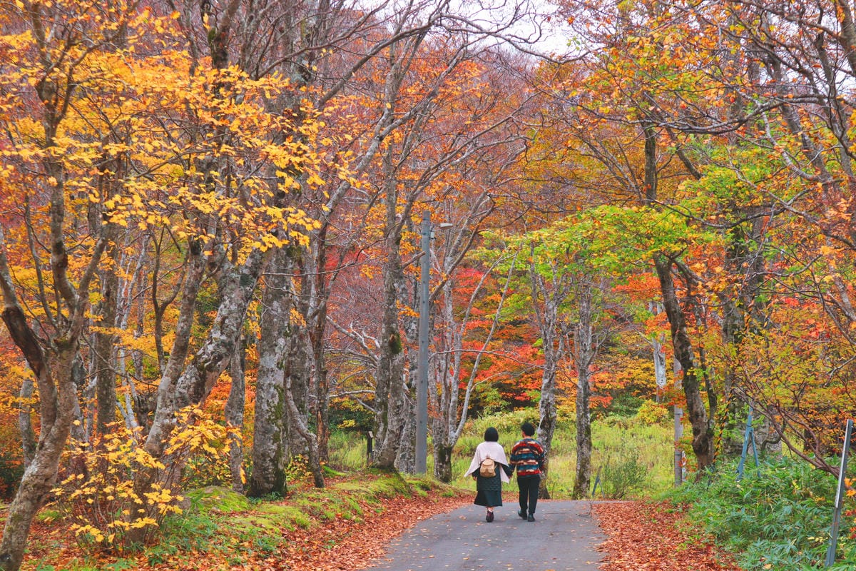 【日本|東北】三天兩夜自由行攻略!仙台+山形完整行程大公開 【日本|東北】三天兩夜自由行攻略!仙台+山形完整行程大公開