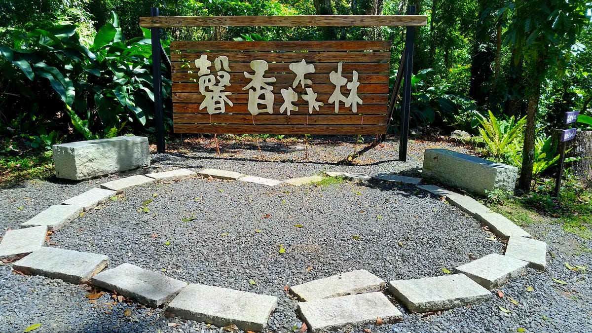 【臺灣｜屏東】最後一片純淨的海-阿朗壹古道三天兩夜旅行全攻略