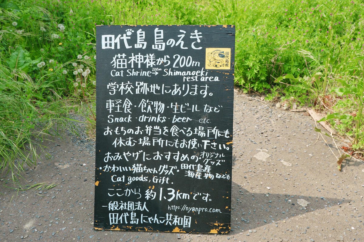 【日本｜宮城】全日本最大漫畫集散地 & 貓比人多的秘境貓島 