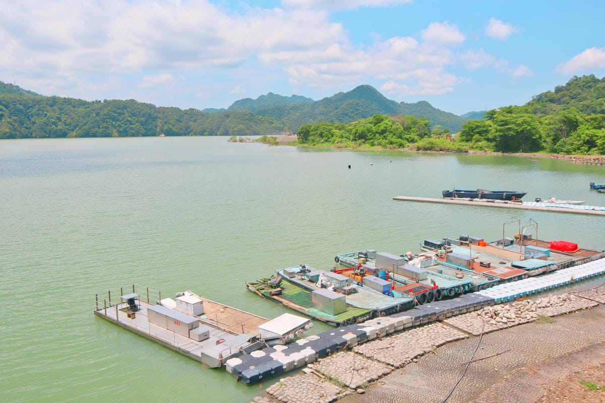【桃園|大溪】你沒玩過的石門水庫!路上衝浪、攀樹探險、無敵景 【桃園|大溪】你沒玩過的石門水庫!路上衝浪、攀樹探險、無敵景