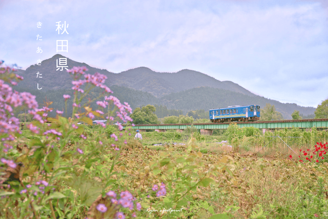 圖片56.png 圖片56.png