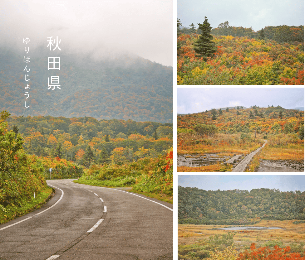 圖片9.png