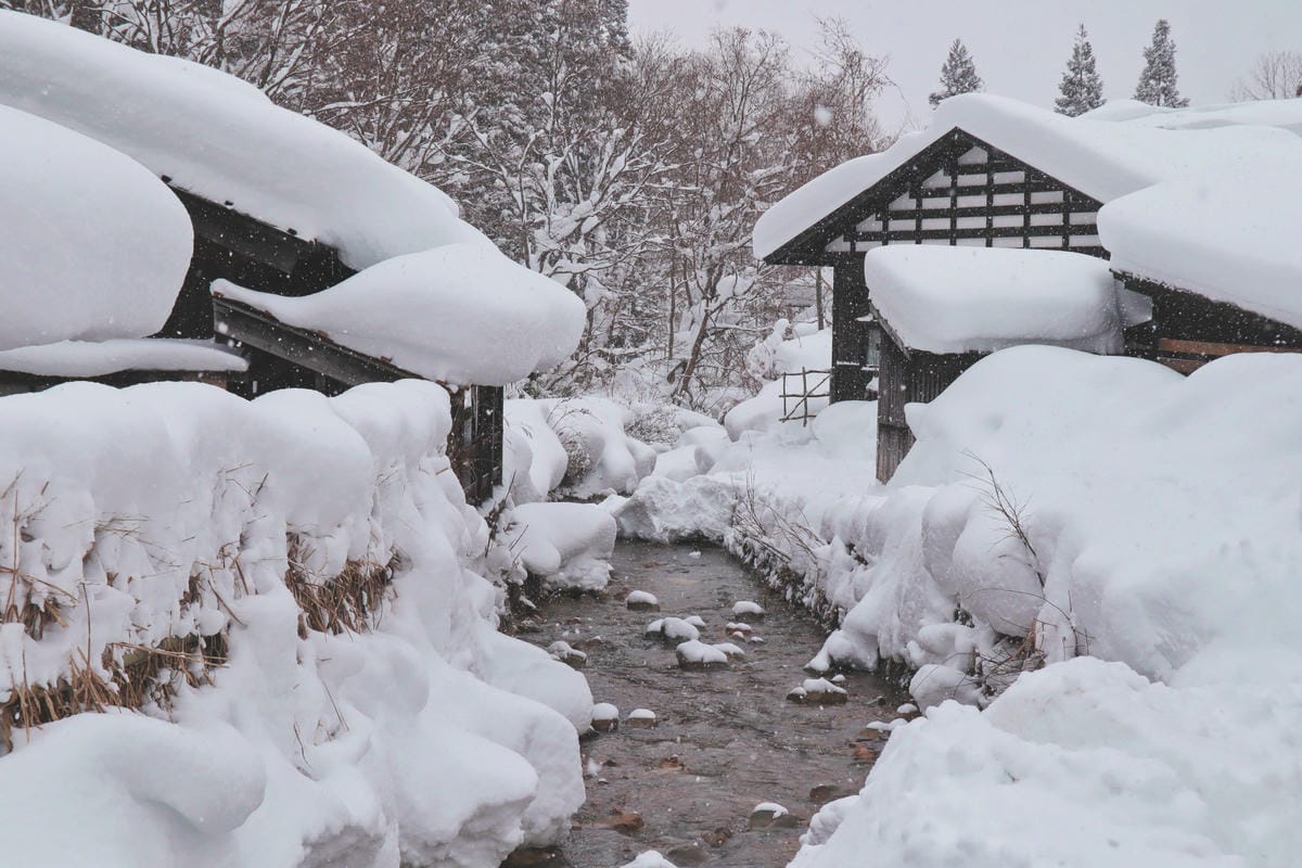 【日本|秋田】不只泡乳頭溫泉!住宿竟可日本酒飲み放題?深入你 【日本|秋田】不只泡乳頭溫泉!住宿竟可日本酒飲み放題?深入你