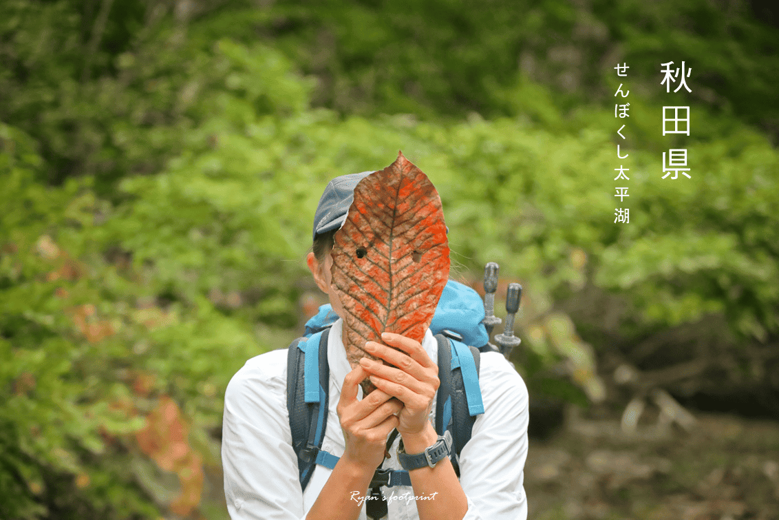 圖片37.png 圖片37.png