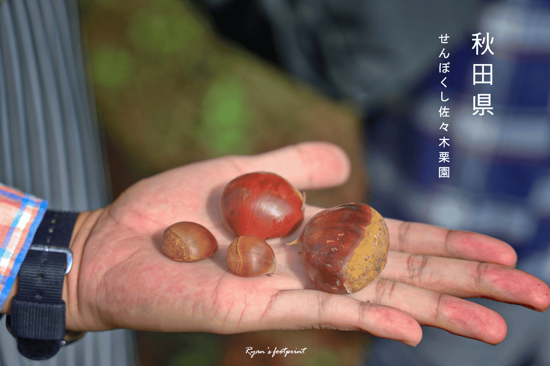 圖片2.png 圖片2.png