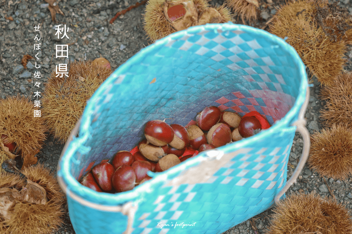 圖片4.png 圖片4.png