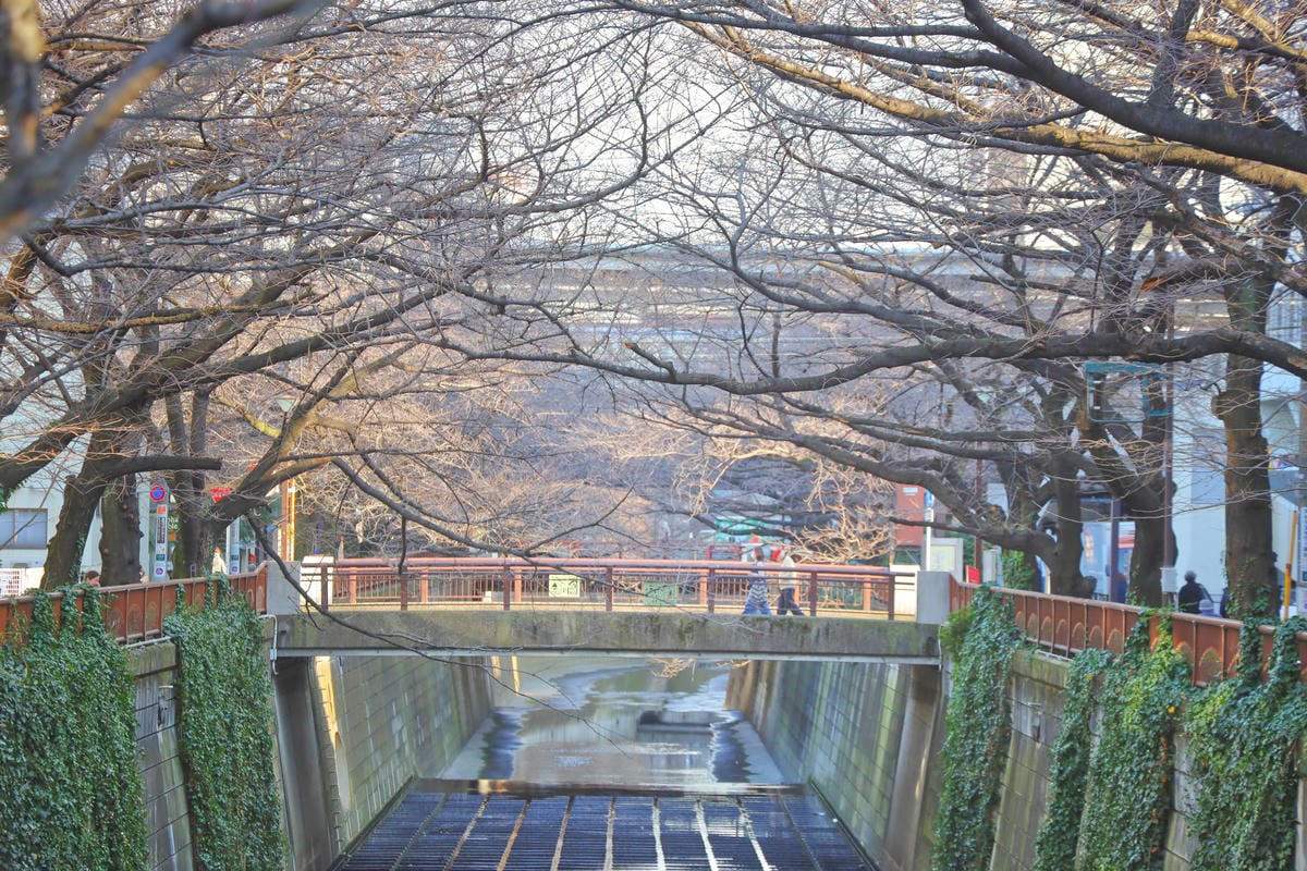 【日本|東京】漫步文藝中目黑 輕旅行散策!觀光案內所出發 - 【日本|東京】漫步文藝中目黑 輕旅行散策!觀光案內所出發 -
