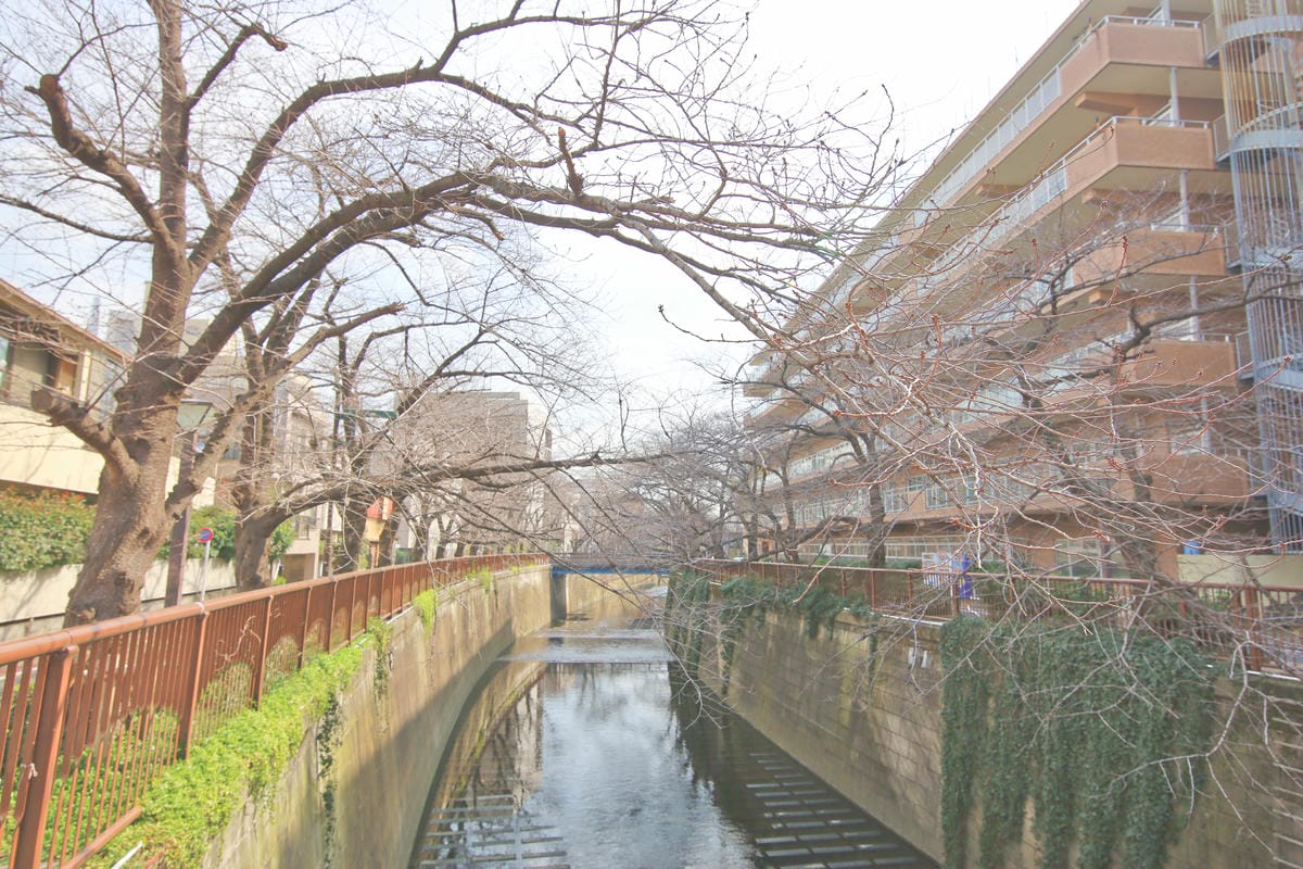 【日本|東京】漫步文藝中目黑 輕旅行散策!觀光案內所出發 - 【日本|東京】漫步文藝中目黑 輕旅行散策!觀光案內所出發 -