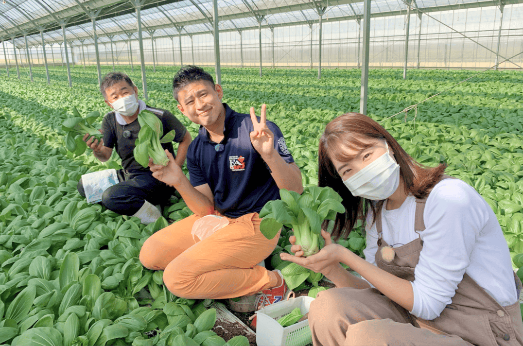 產地達人教你吃 愛知縣美食3.png 產地達人教你吃 愛知縣美食3.png